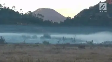 Akibat cuaca yang ekstrim, embun es muncul lagi di Dieng, Bajarnegara, Jawa Tengah.