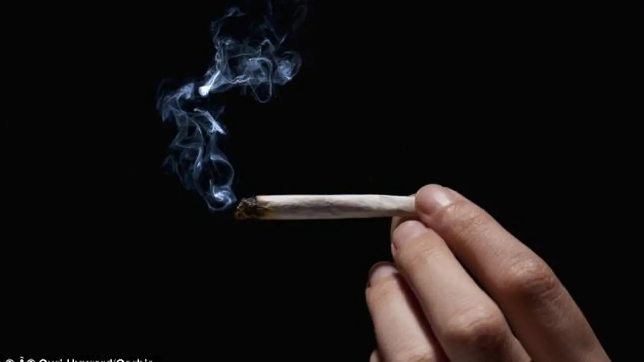 Penelitian: Ganja Dapat Kurangi Rasa Cemas
