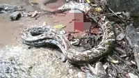 Warga Bombana yang berada di lokasi ular yang melilit remaja hingga tewas, Minggu (14/6/2020).(Liputan6.com/Ahmad Akbar Fua)
