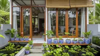 7 Model Rumah Kecil Tapi Luas dengan Tanaman Daun Air di Dalam Rumah