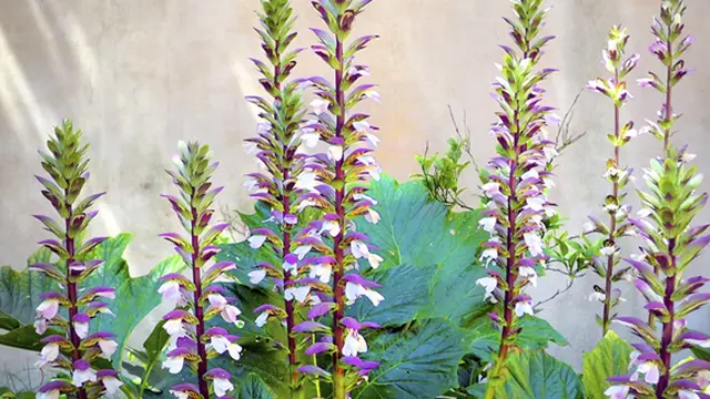 Copyright by Thinkstock.com