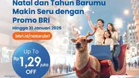 Dapatkan Diskon Hingga Rp1,29 Juta! Promo Spesial BRI Natal &amp; Tahun Baru yang Wajib Kamu Ikuti!