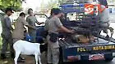 liputan6