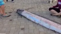 `Monster Laut` Sepanjang 5 Meter Ditemukan di California