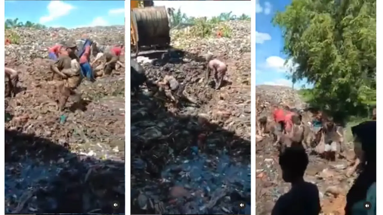 Warga Bengkalis Berebut Daging Sitaan Bea Cukai di Timbunan Sampah
