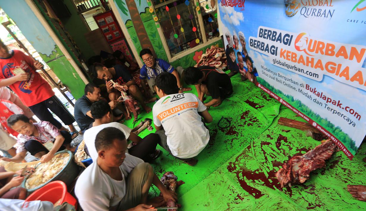BukaLapak.com bekerjasama dengan Global Qurban dan Aksi Cepat Tanggap (ACT) menyalurkan hewan kurban yang dibeli secara online di Bukalapak.com kepada masyarakat yang membutuhkan di Jakarta, Kamis (24/9). (Istimewa)