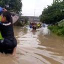 Geger Kemunculan Buaya saat Banjir di Pemalang Bikin Warga Takut, Ini Penjelasan Polisi