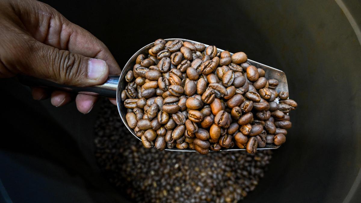Industri Kopi Nusantara di Tengah Rencana Pengenaan Tarif Impor Trump