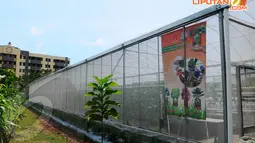 Green House Bikin Rusun Marunda Terlihat Asri