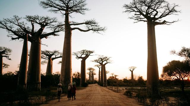 Madagascar