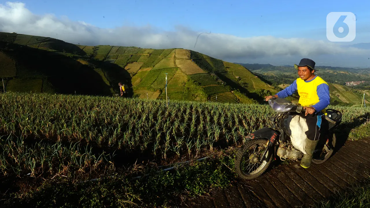 Petani Keluhkan Harga Pupuk