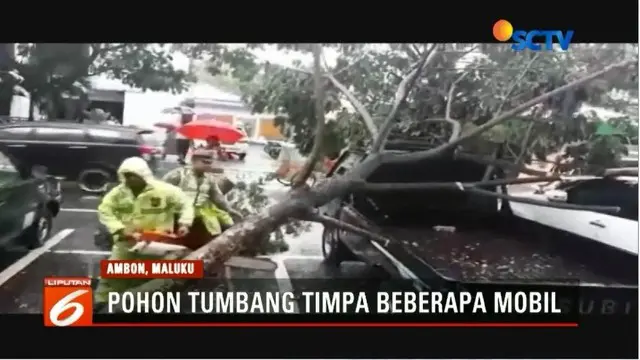 Cuaca buruk menyebabkan pohon tumbang dan menimpa sejumlah mobil di Ambon, Maluku, serta sejumlah jalan amblas.