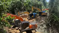 Penambangan Emas Ilegal di Hutan Mandailing Natal Terbongkar, 14 Ekskavator Jadi Barang Bukti