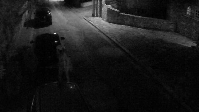 Gambar Rumah Horor 4 Cerita Horor Sosok Mengerikan yang Tertangkap Kamera 