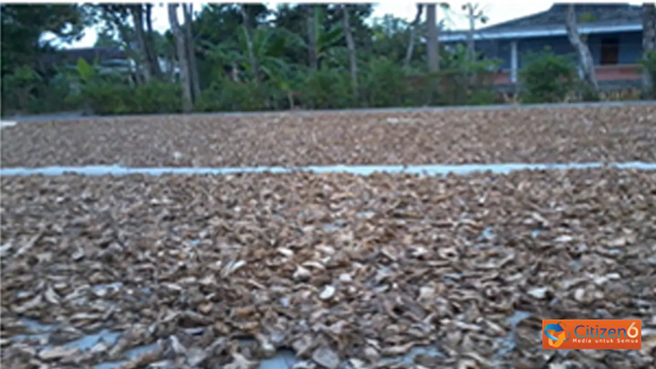 131214cjahe.jpg