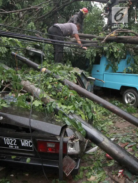 Sejumlah mobil tertimpa pohon akibat Hujan dan Angin di wiliyah Serua, Ciputat, Rabu (12/12). Hujan beserta angin yang mengguyur sejumlah wilayah kota Tangerang Selatan membuat pohon besar tumbang menimpa mobil. (merdeka.com/ arie basuki)