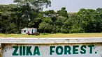 Sebuah gambar menunjukkan pintu masuk hutan virus Zika di Uganda, 29 Januari 2016. Hutan ini merupakan lokasi pertama kali ditemukannya virus Zika pada April 1947 setelah pengujian menggunakan monyet-monyet oleh ilmuwan. (ISAAC KASAMANI/AFP)