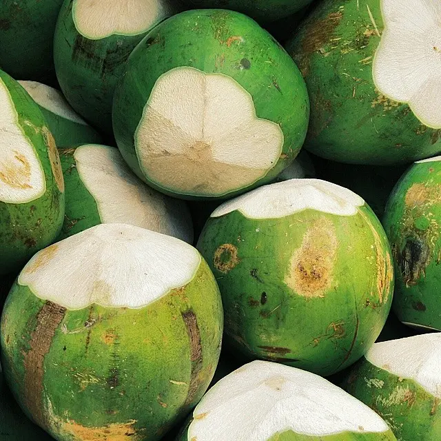 Intip manfaat minum air kelapa yang bisa mewujudkan mimpi para cewek. (Sumber Foto: hollysnatural.tumblr.com)