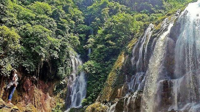 25 Wisata Malang Batu yang Paling Populer, Ada Hutan Bambu Mirip Sagano Bamboo di Kyoto