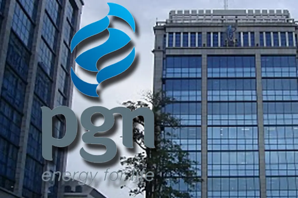 Ilustrasi PGN