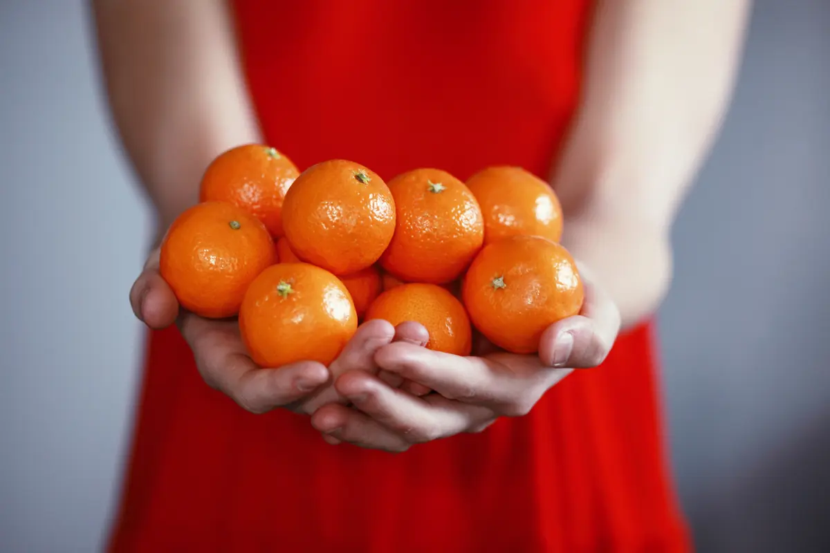jeruk mandarin