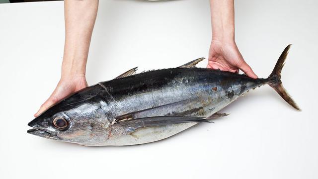 Kadar Merkuri Ikan yang Aman Bagi Anak dan Ibu Hamil