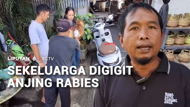 Tujuh Warga Satu Keluarga Digigit Anjing Rabies