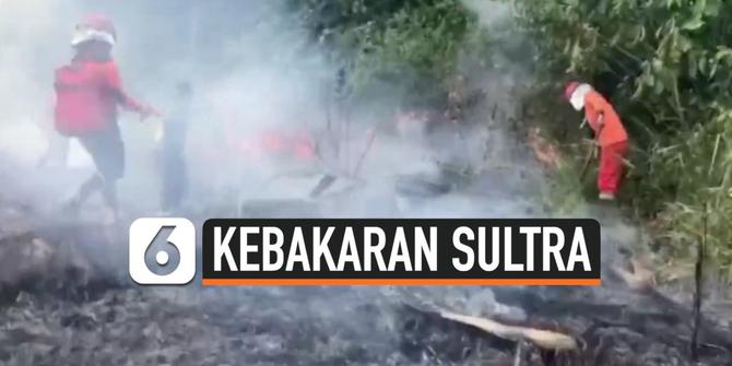 VIDEO: Padang Savana Taman Nasional Rawa Aopa Watumohai Terbakar
