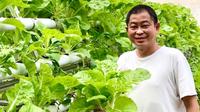 Ignasius Jonan membagikan kegiatannya memanen sayuran dari berkebun hidroponik di rumah. (dok. Instagram @ignasius.jonan/https://www.instagram.com/p/CIKvVYqpk9J/)