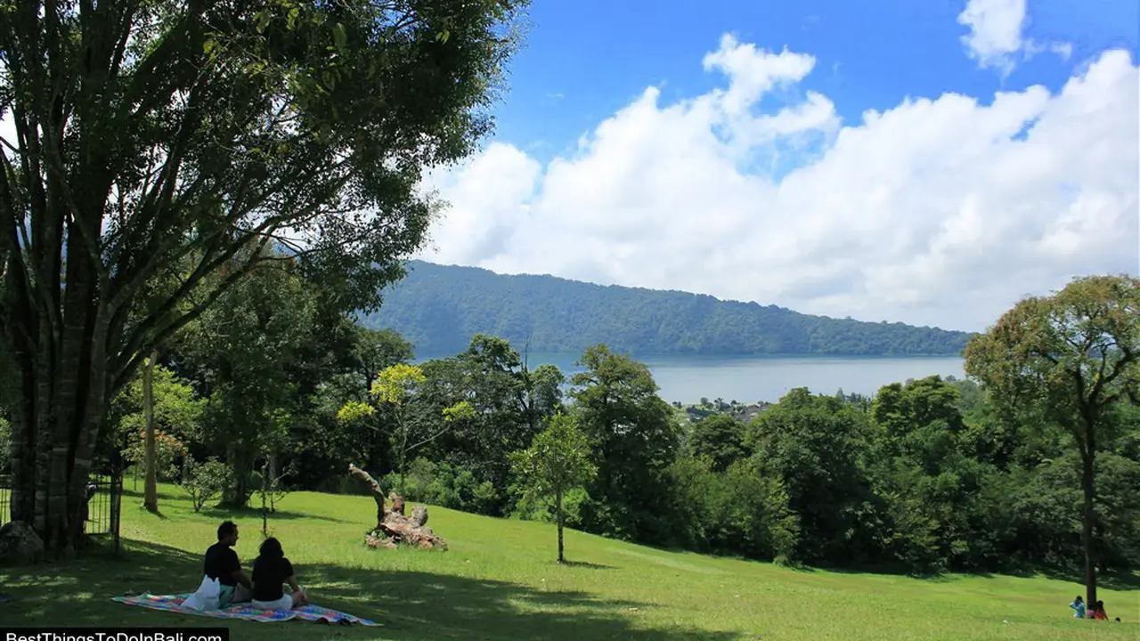 piknik