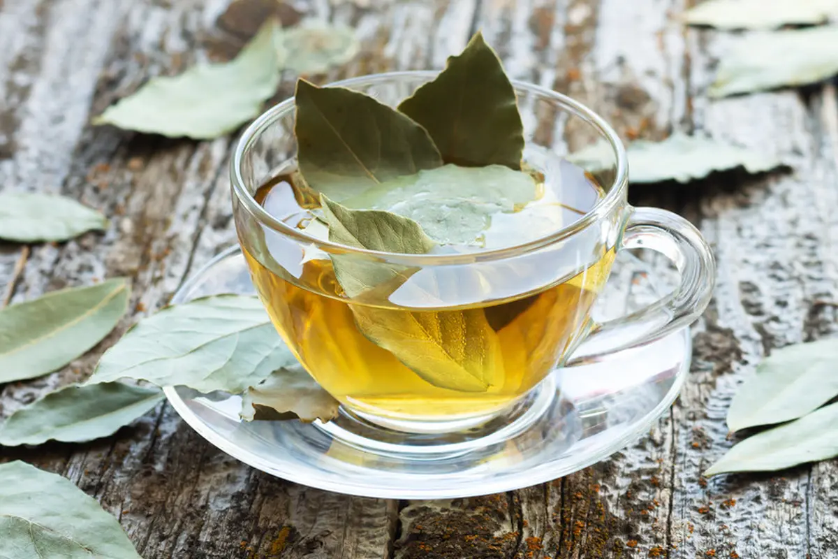 teh daun salam