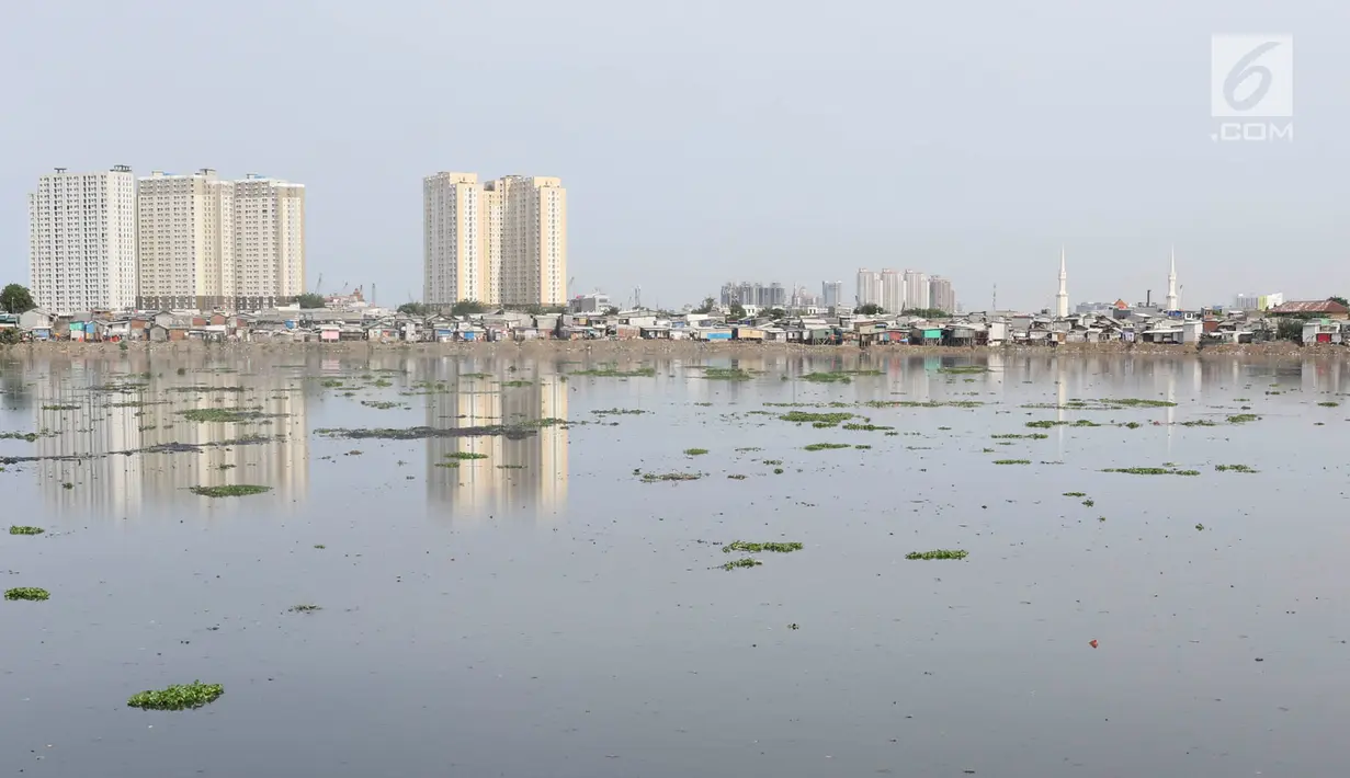 Suasana Waduk Pluit yang banyak tumbuh enceng gondok, Jakarta, Senin (17/12). Kurangnya perhatian serta perawatan menyebabkan tanaman yang berpotensi menjadi hama tersebut kembali tumbuh dan berkembang di Waduk Pluit. (Liputan6.com/Immanuel Antonius)