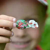 Iustrasi Permen (pixabay.com)