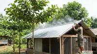 Cara Buat Kandang Ayam Seng tapi Tetap Adem Tahan Panas, Ikuti 8 Langkah Mudah Ini