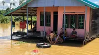 Banjir melanda 14 desa di Kabupaten Berau akibat sungai meluap.