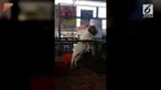 Kambing ini hanya ingin mendapat perhatian dari orang-orang di pameran. Itu berdiri di kandangnya dan berteriak sekeras mungkin untuk membuat orang-orang melihatnya.
