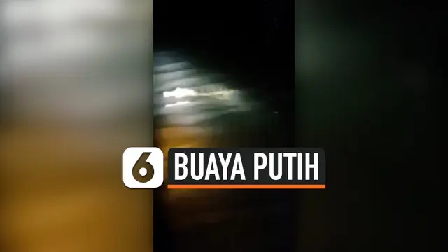 THUMBNAIL BUAYA PUTIH