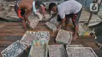 Aktivitas tangkapan ikan konsumsi untuk harian di dermaga Kalibaru, Jakarta, Jumat (31/5/2024). (merdeka.com/Imam Buhori)