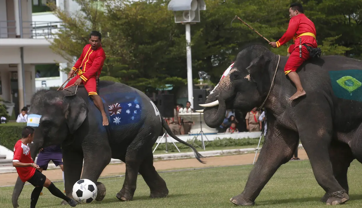 Sejumlah gajah bermain sepak bola dengan badan dilukis bendera peserta Piala Dunia 2018 di Ayutthaya, Selasa (12/6/2018). Kegiatan yang dilakukan Sekolah Ayutthaya Wittayalai ini dilakukan untuk memeriahkan Piala Dunia. (AP/Sakchai Lalit)