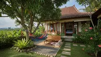 10 Tanaman Rindang yang Cocok untuk Halaman Rumah Desa agar Tidak Panas Saat Musim Kemarau