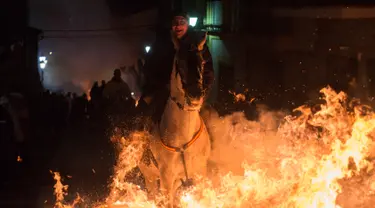 Penunggang kuda melompat di atas api unggun saat Festival Luminarias, Spanyol, Senin (16/1). Setiap bulan Januari, umat Nasrani di Spanyol merayakan Hari Santo Antonius yang dikenal sebagai santo pelindung binatang. (AFP Photo/ PIERRE-PHILIPPE Marcou)