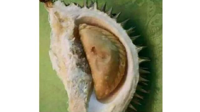 Unduh 680 Gambar Durian Isi Pastel Keren 