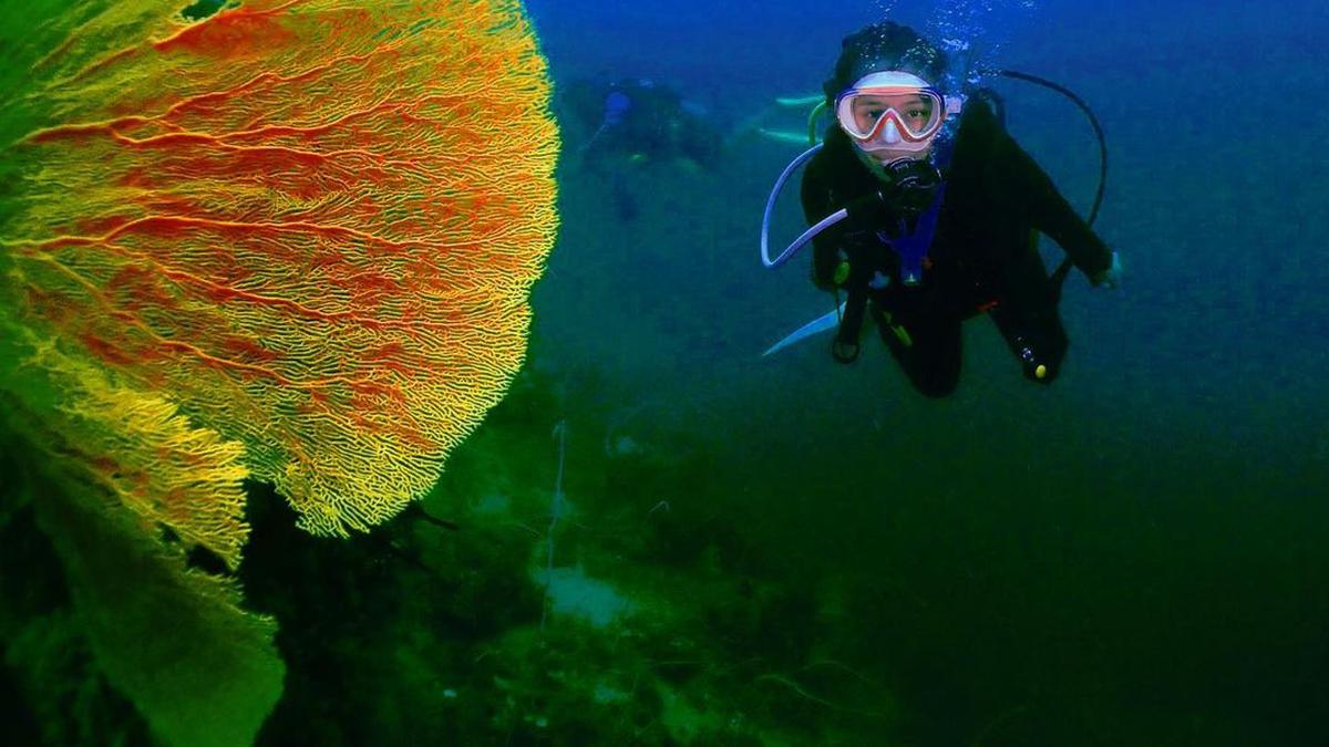 7 Potret Prilly Latuconsina Free Diving, Keseruan Petualangan di Kedalaman 16 Meter