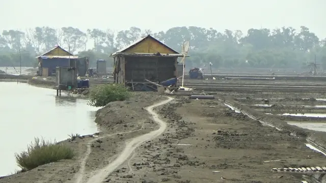 Petani Garam