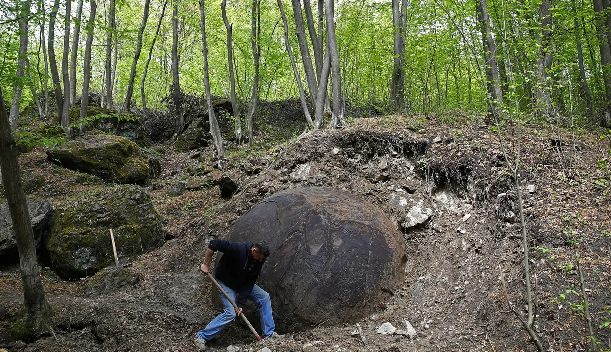 Suad Keserovic menggali tanah di sekitar bola batu temuannya di hutan Desa Podunavlje, Bosnia dan Herzegovina, Senin (11/4). Pria itu mengklaim bola batu berdiameter 3,30 meter tersebut memiliki berat sekitar 35 ton. (REUTERS/Dado Ruvic)