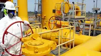 Dahlan Akui PGN dan Pertamina Tak Akur Sejak Dulu