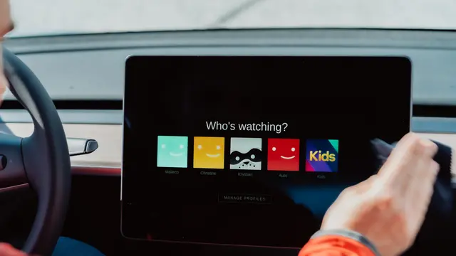 Netflix allows users to have up to 5 profiles on one account.