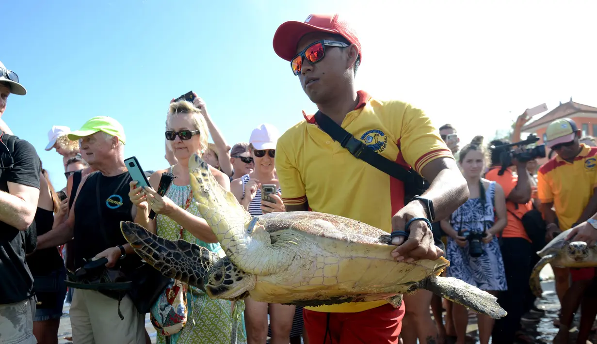 Turis menyaksikan kura-kura hijau dilepaskan di pantai Kuta di pulau Bali (27/3). Sekitar 18 kura-kura hijau diburu untuk diambil dagingnya dan dilepaskan kembali ke laut setelah polisi menangkap pelaku di Kabupaten Gianyar pada 13 Maret. (AFP Photo/Sonny Tumbelaka)