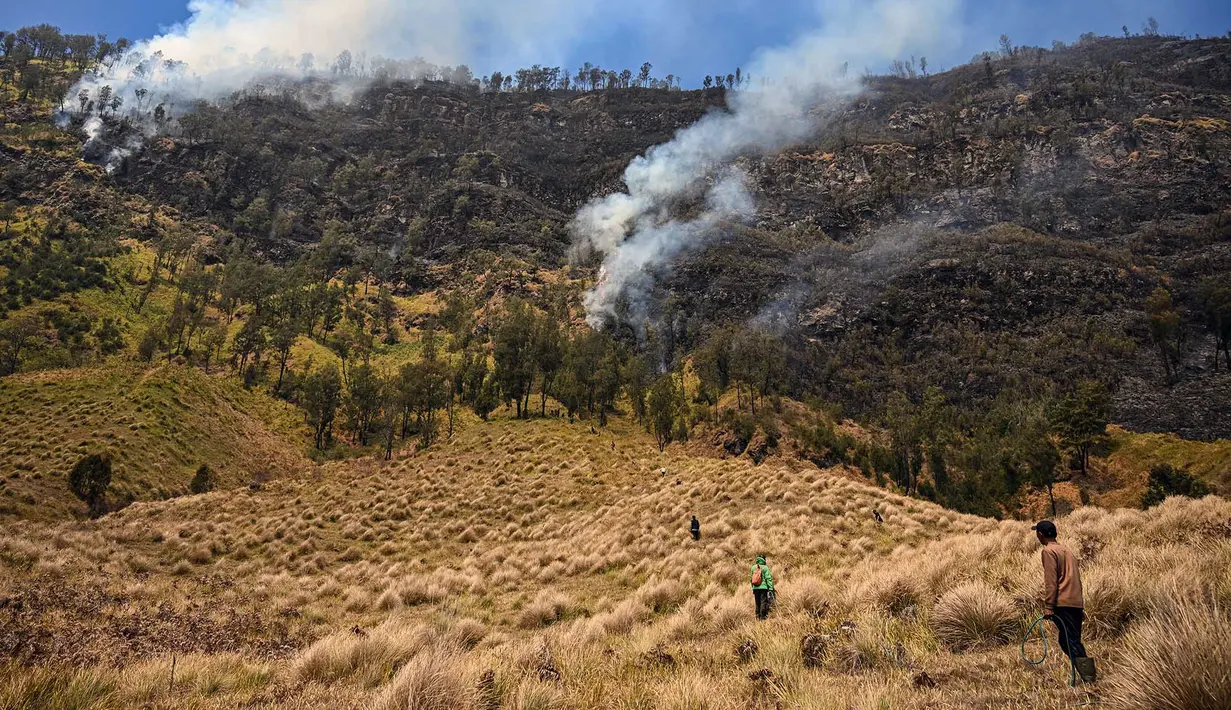 Petugas berupaya memadamkan kebakaran hutan di kawasan Taman Nasional Bromo Tengger Semeru (TNBTS), Kabupaten Probolinggo, Jawa Timur, Kamis (6/8/2026). (AFP/ Juni Kriswanto)