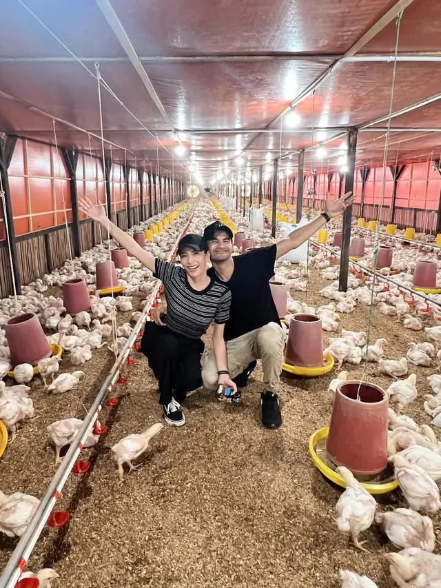 Tyas Mirasih di peternakan ayam suaminya (Instagram/tyasmirasih)